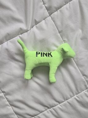 PINK Victoria's Secret Bright Neon Green Plush Dog Toy
